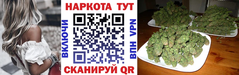 A PVP Пересвет