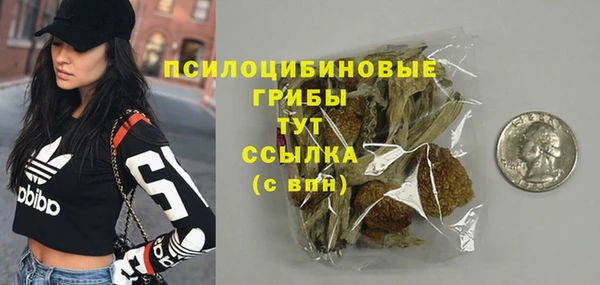 тгк Аркадак