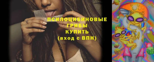 синтетический гашиш Богородицк