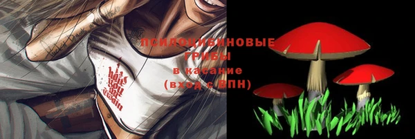 соль ск Бронницы