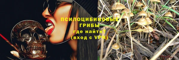 ГАЛЛЮЦИНОГЕННЫЕ ГРИБЫ Богородск