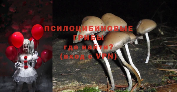 гашик Бугульма