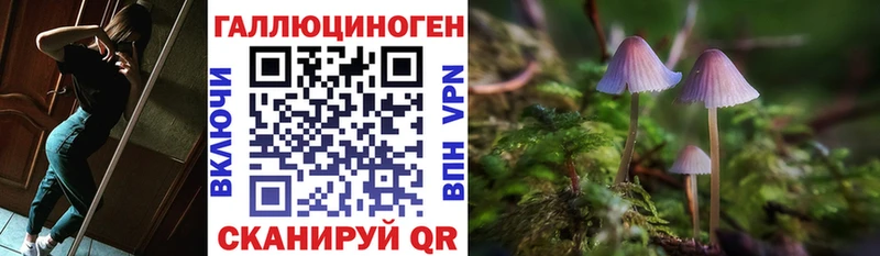 Галлюциногенные грибы мицелий Пересвет